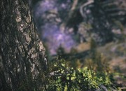 Tomb Raider