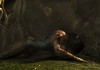 Tomb Raider