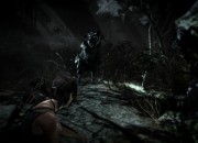 Tomb Raider