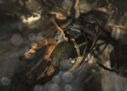 Tomb Raider