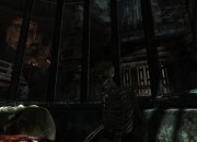 Tomb Raider