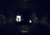 The Light