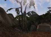 The Elder Scrolls III screenshot
