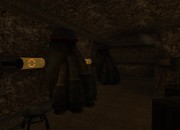 The Elder Scrolls III screenshot