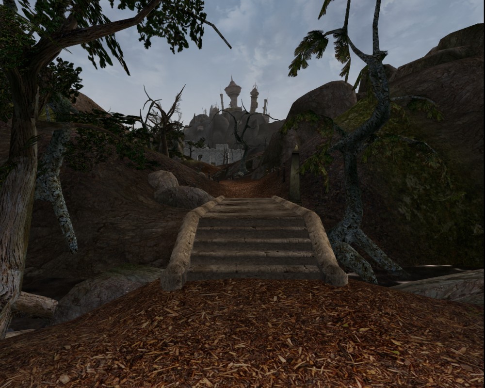 The Elder Scrolls III: Morrowind