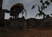 The Elder Scrolls III screenshot
