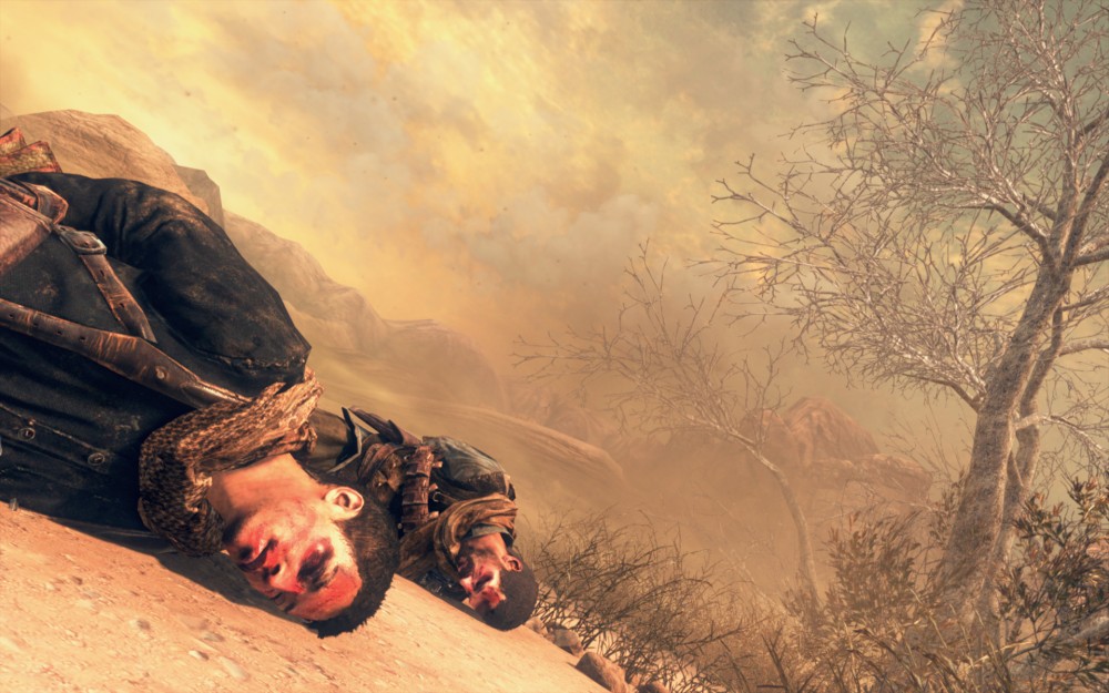 Call of Duty: Black Ops II