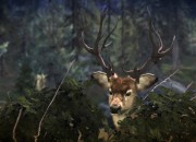 Cabela's Dangerous Hunts 2013 screenshot