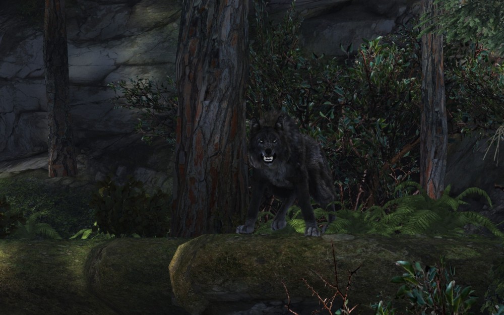 Cabela's Dangerous Hunts 2013