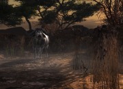 Cabela's Dangerous Hunts 2013 screenshot