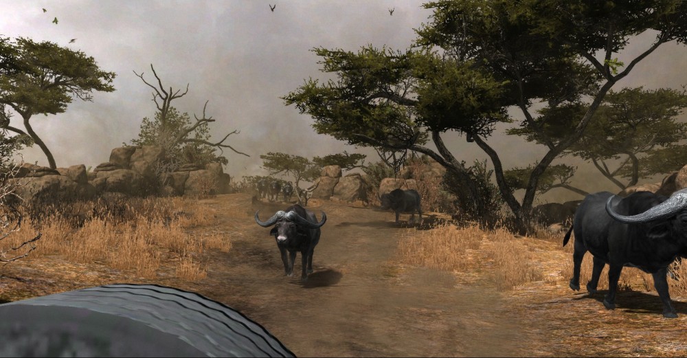Cabela's Dangerous Hunts 2013
