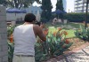 Grand Theft Auto V
