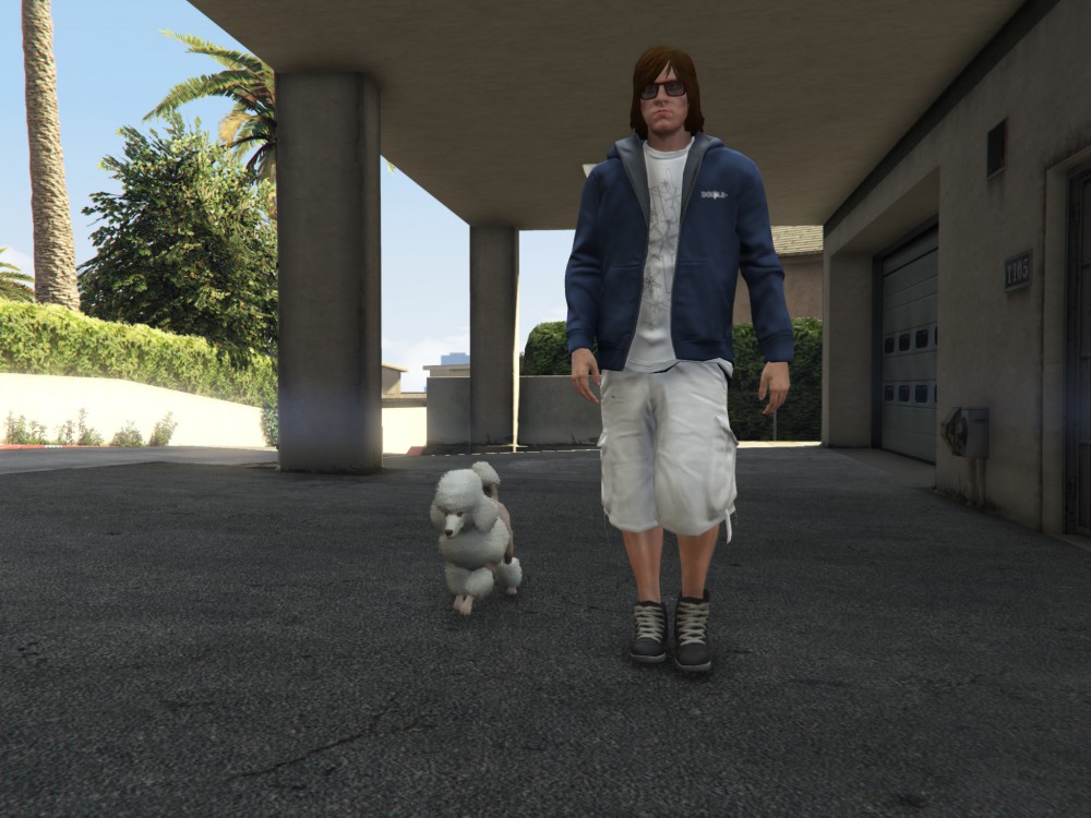 Grand Theft Auto V