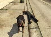 Grand Theft Auto V screenshot