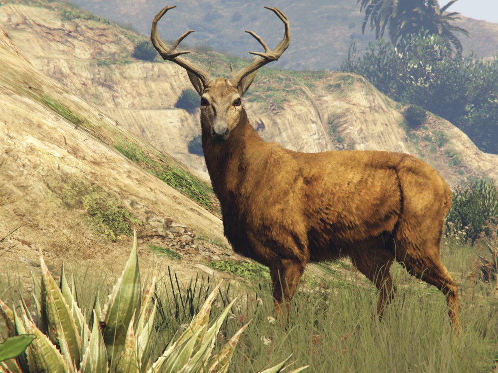 Grand Theft Auto V