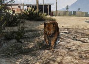 Grand Theft Auto V