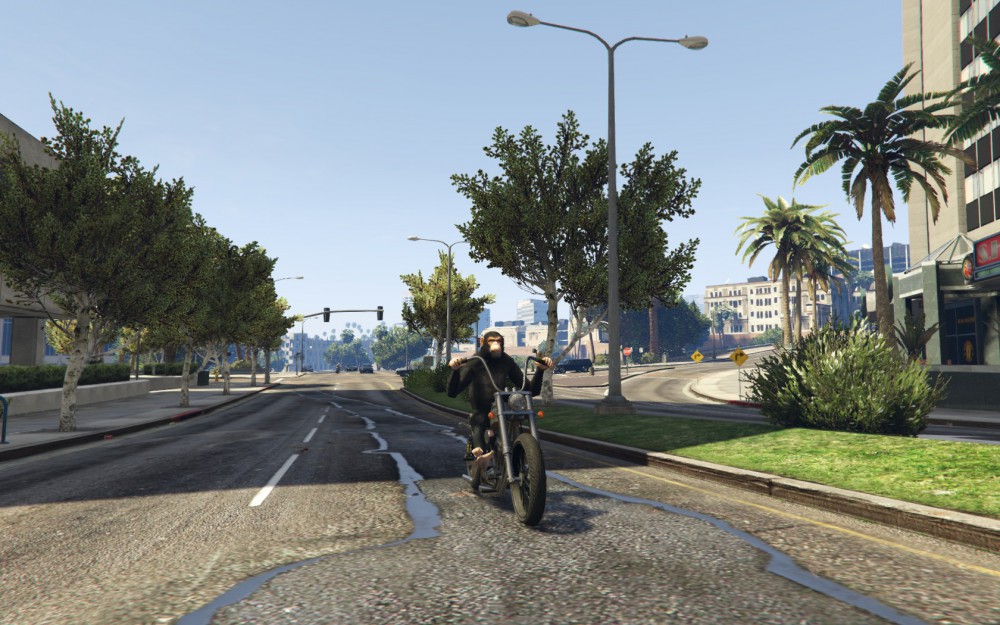 Grand Theft Auto V