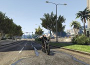 Grand Theft Auto V