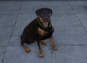 Grand Theft Auto V screenshot