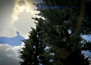 Grand Theft Auto V screenshot