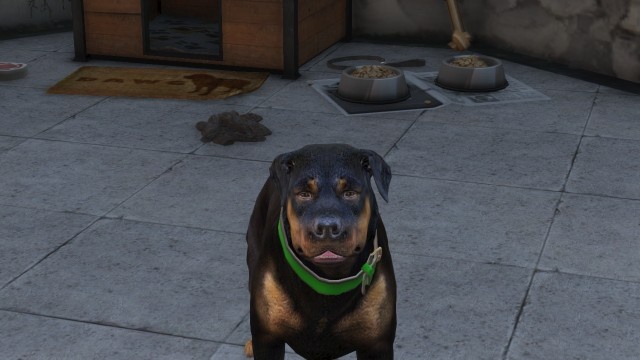 Grand Theft Auto V