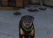 Grand Theft Auto V screenshot