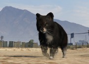 Grand Theft Auto V