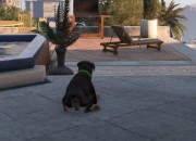 Grand Theft Auto V screenshot