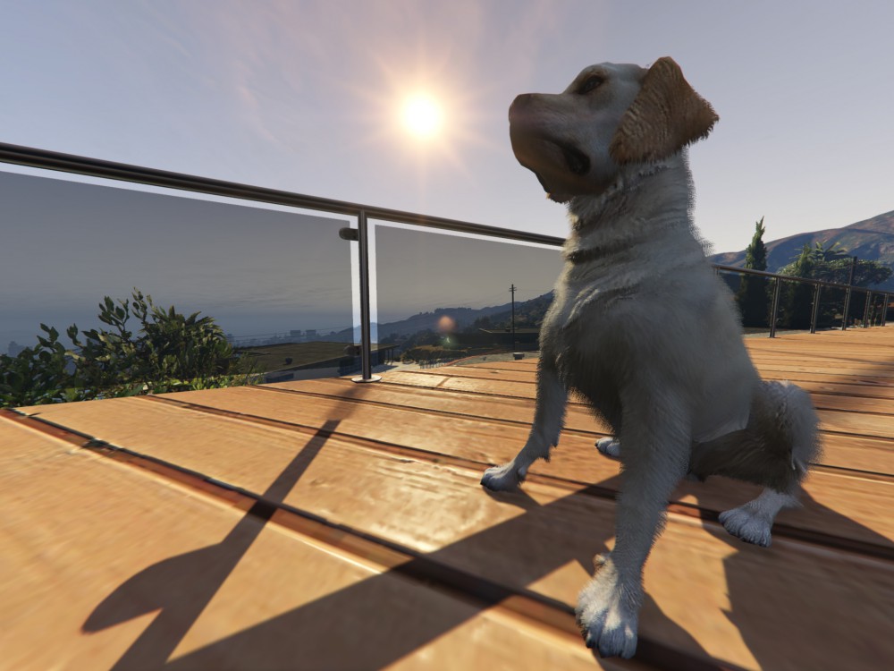 Grand Theft Auto V