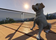 Grand Theft Auto V screenshot