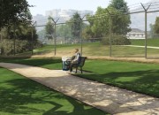 Grand Theft Auto V screenshot