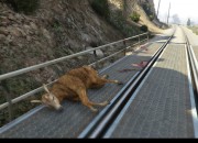 Grand Theft Auto V