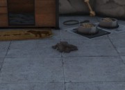Grand Theft Auto V screenshot