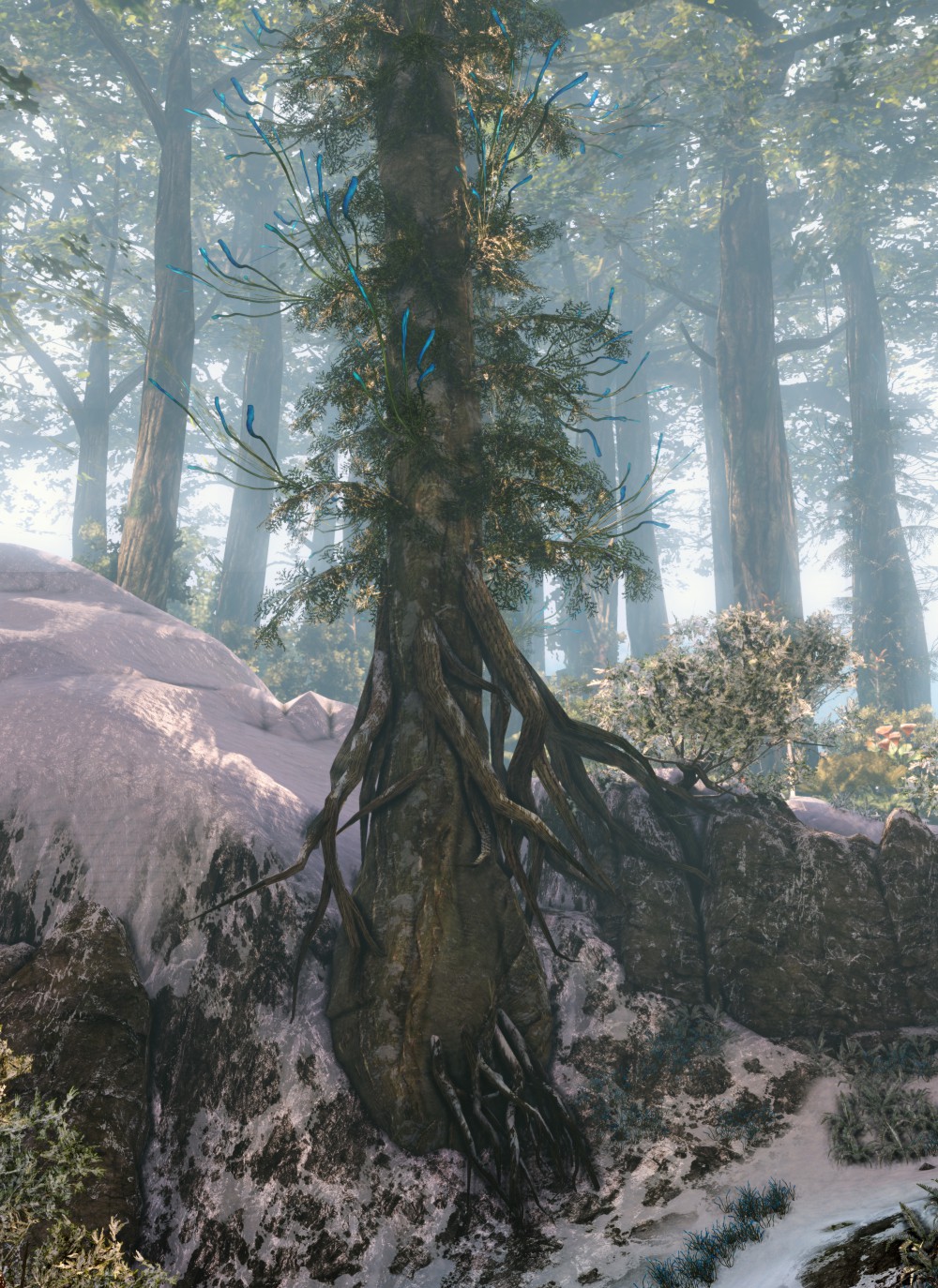 Hawken