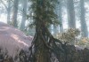Hawken