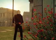 The Godfather II