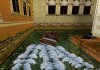 Tomb Raider II