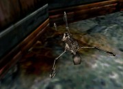 Die by the Sword
