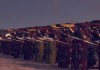 Total War: Rome II