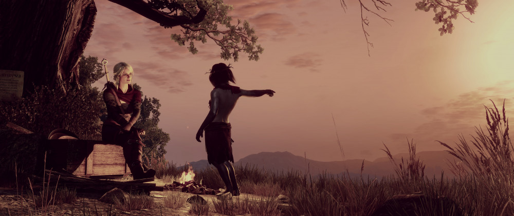 The Witcher 3: Wild Hunt