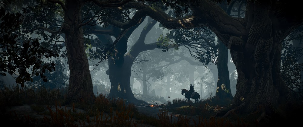 The Witcher 3: Wild Hunt