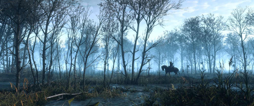 The Witcher 3: Wild Hunt