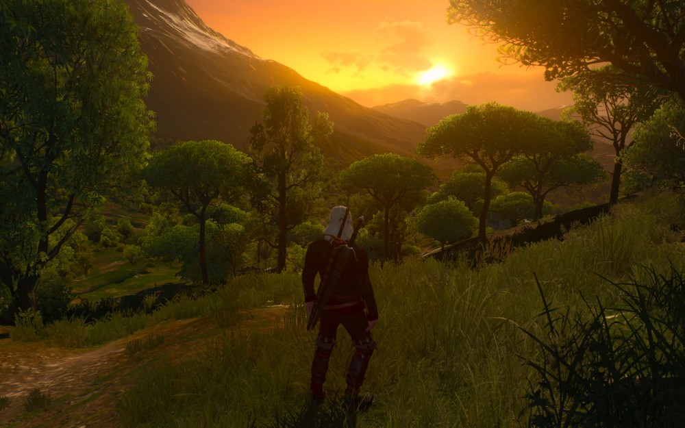 The Witcher 3: Wild Hunt