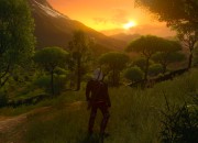 The Witcher 3: Wild Hunt