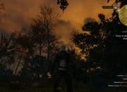 The Witcher 3: Wild Hunt