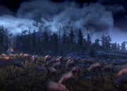 The Witcher 3 screenshot