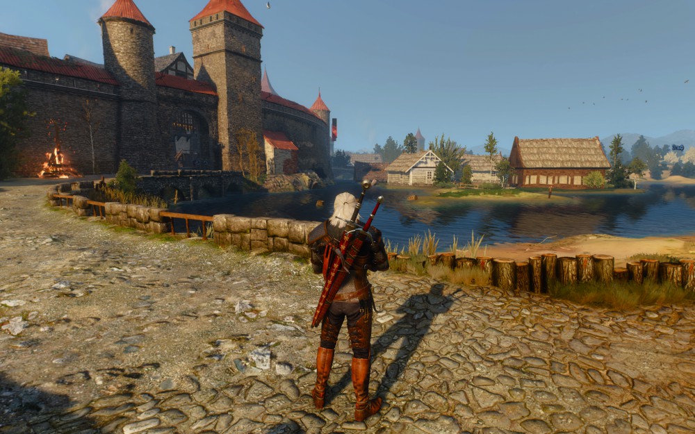 The Witcher 3: Wild Hunt