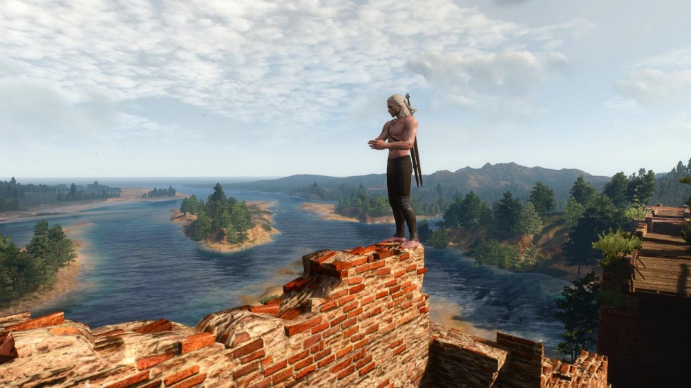The Witcher 3: Wild Hunt