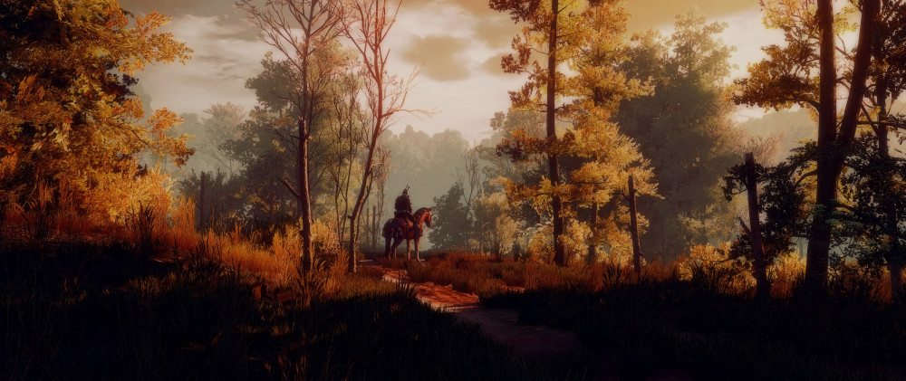 The Witcher 3: Wild Hunt