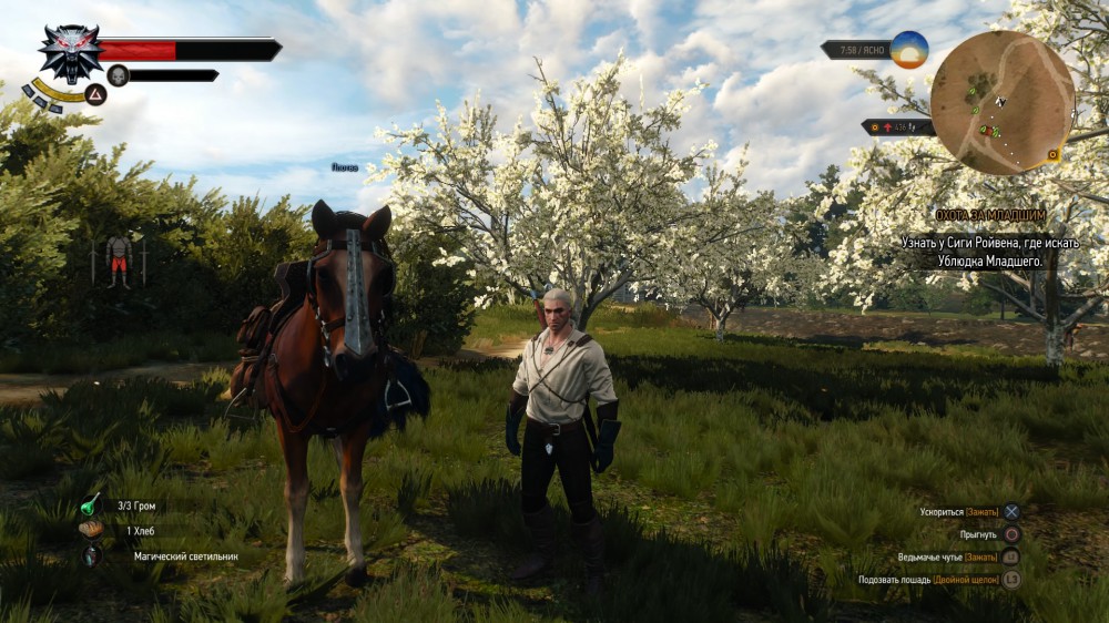 The Witcher 3: Wild Hunt